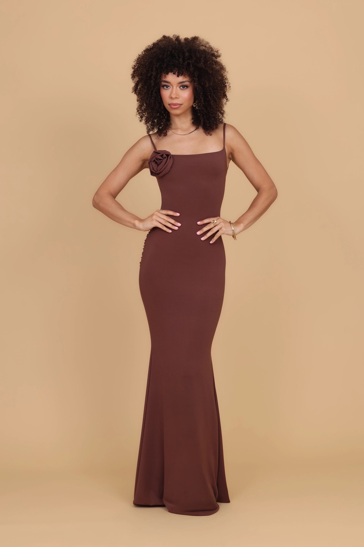 MARY Mocha Maxi Dress
