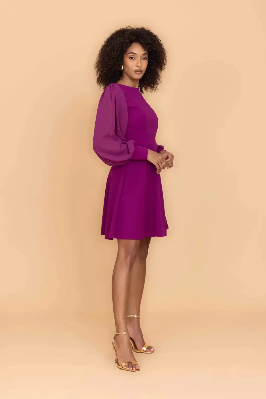 KAT Plum Long Sleeve Chiffon Mini Dress