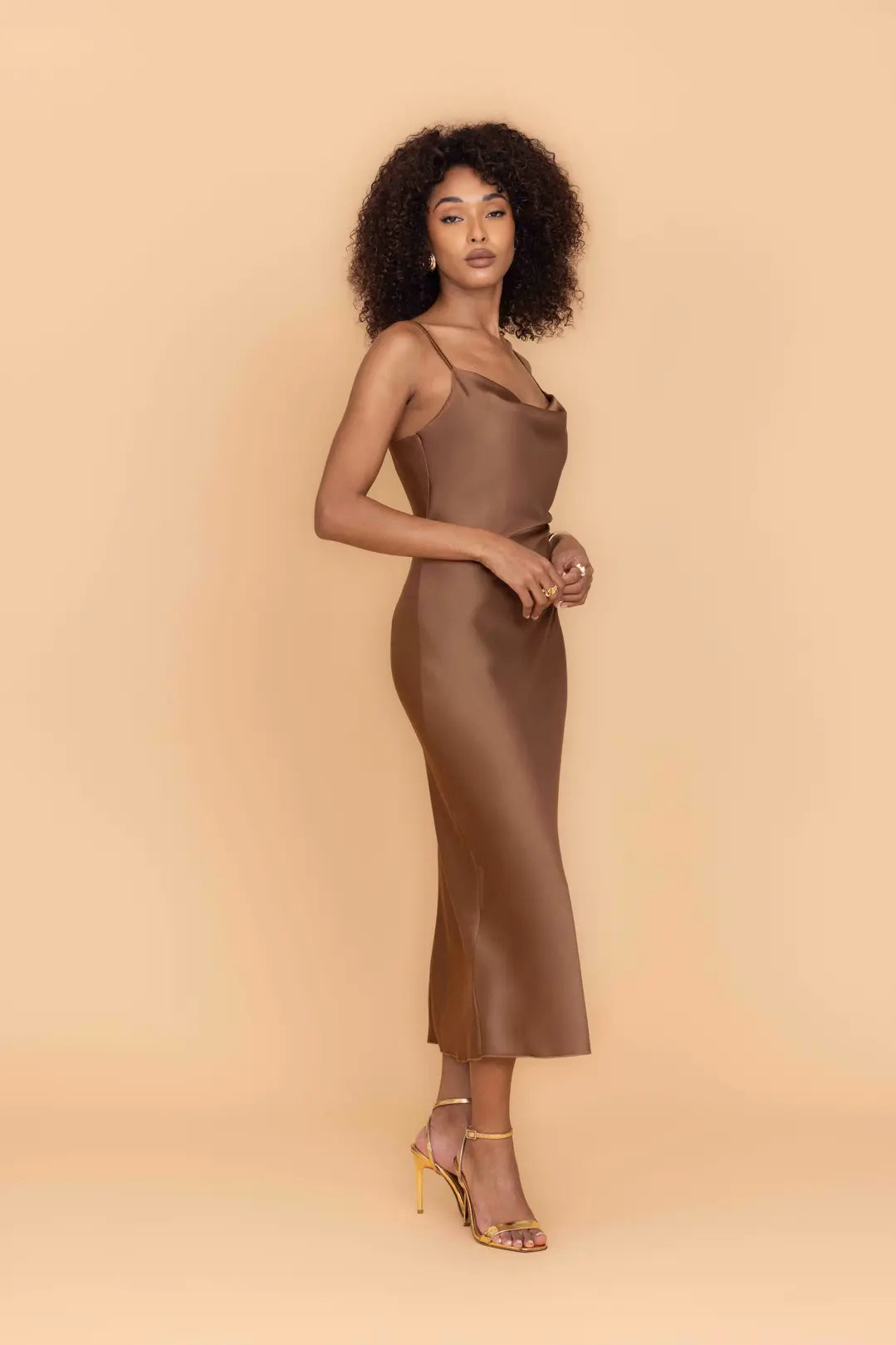 CARA Mocha Midi Dress