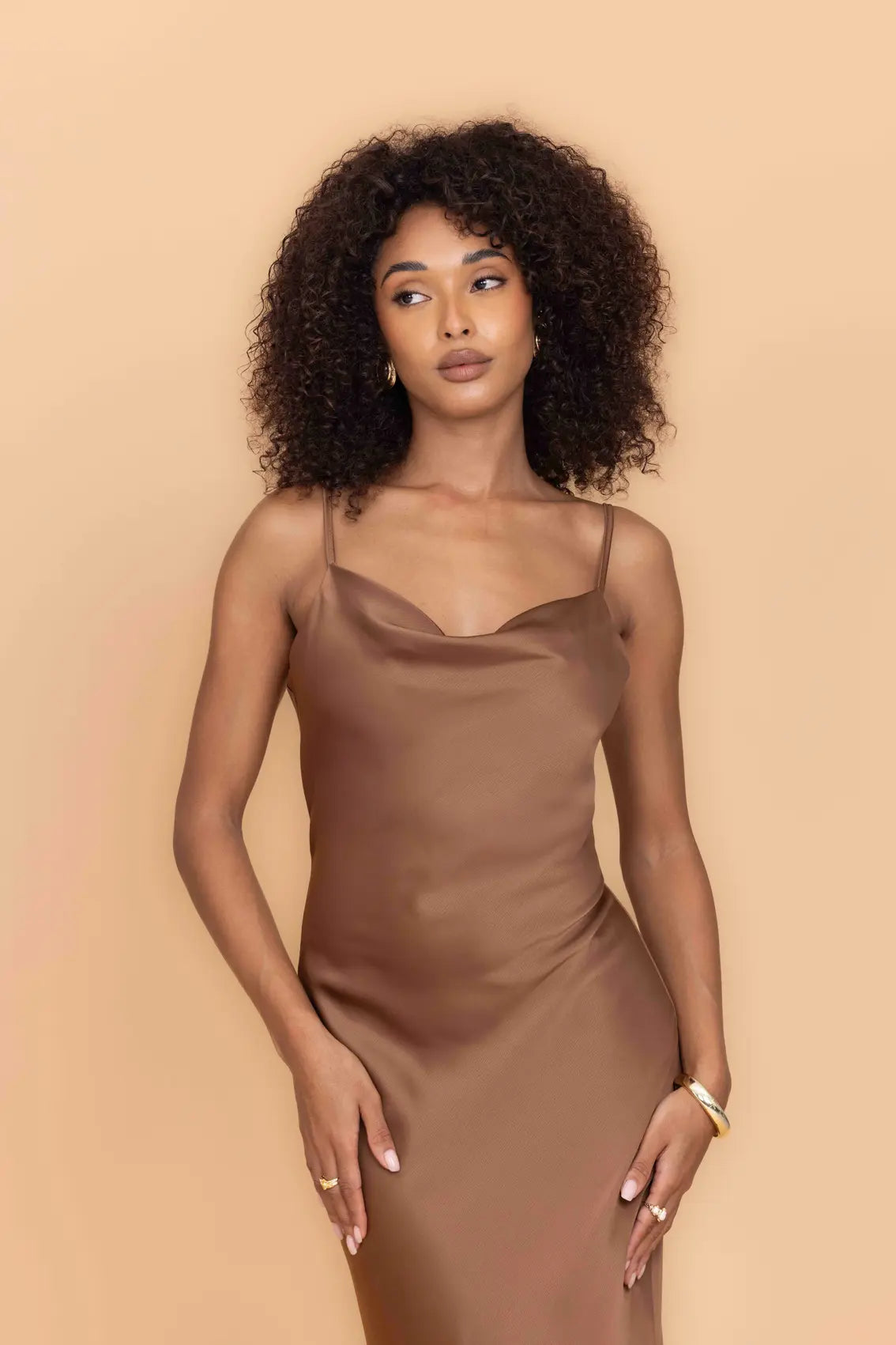 CARA Mocha Midi Dress